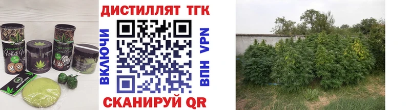 как найти закладки Казань Еда ТГК конопля