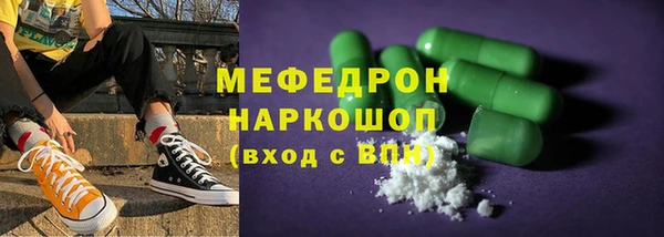 стаф Осинники
