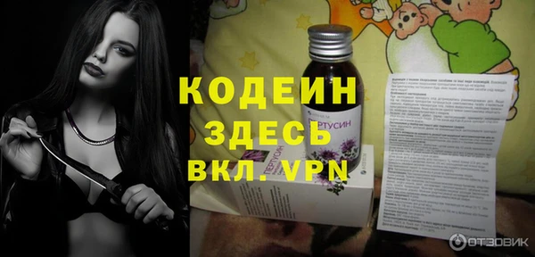 стаф Осинники