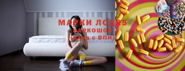 стаф Осинники