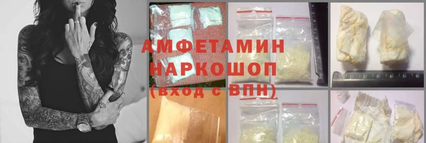 стаф Осинники