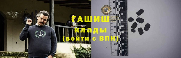 стаф Осинники