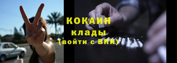 шишки Остров