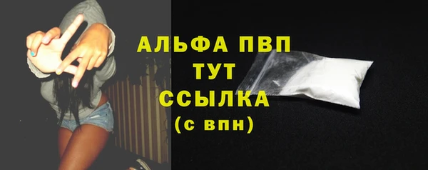 стаф Осинники