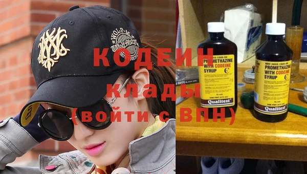 стаф Осинники