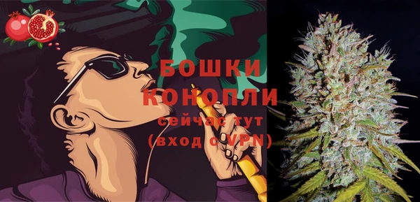 стаф Осинники