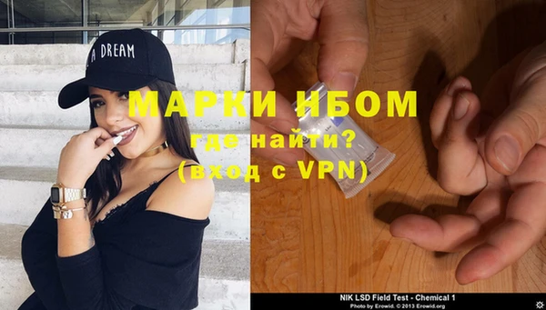 стаф Осинники