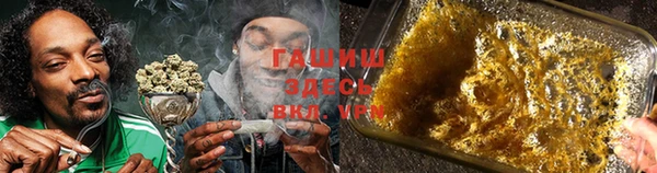 стаф Осинники