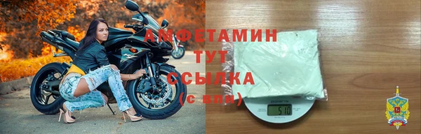 стаф Осинники