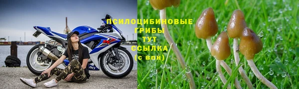 винт Осташков