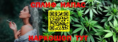 стафф Бийск