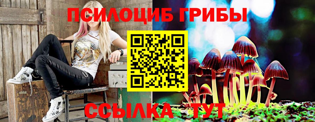 Галлюциногенные грибы мицелий Казань